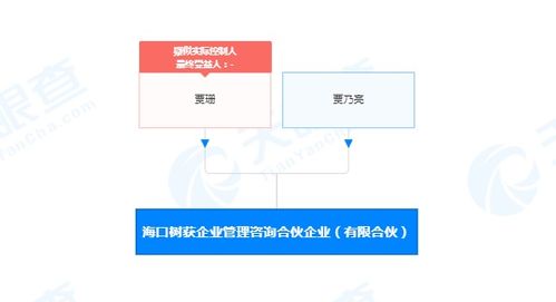 解碼社會(huì)經(jīng)濟(jì)咨詢服務(wù)的價(jià)值與挑戰(zhàn)